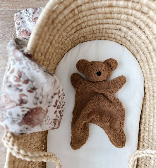 Little Teddy Comforter Toy